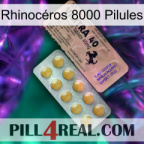 Rhinocéros 8000 Pilules 41